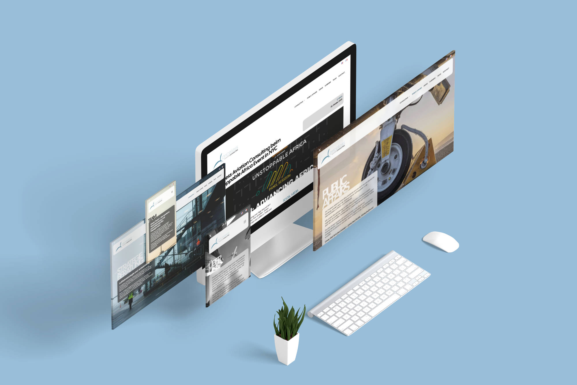 Priceless Aviation Consulting